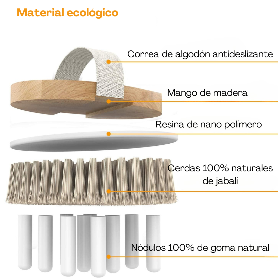 Cepillo Corporal en Seco